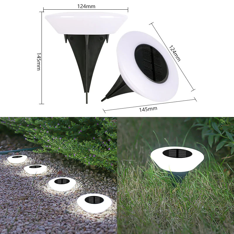 Solar Outdoor Lawn Lamp Rays treats