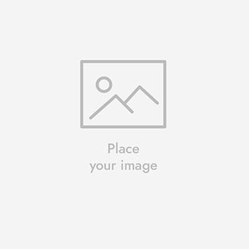 Uncategorized